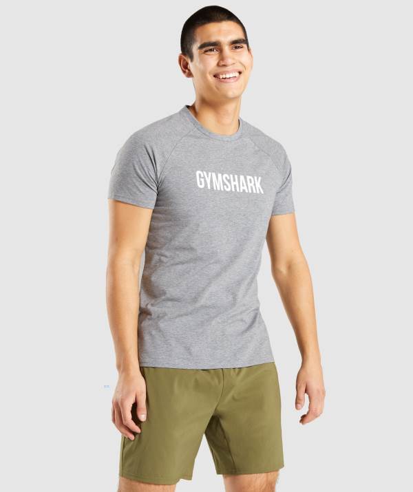 Panske Tricka Gymshark Apollo Siva | PZ6519420